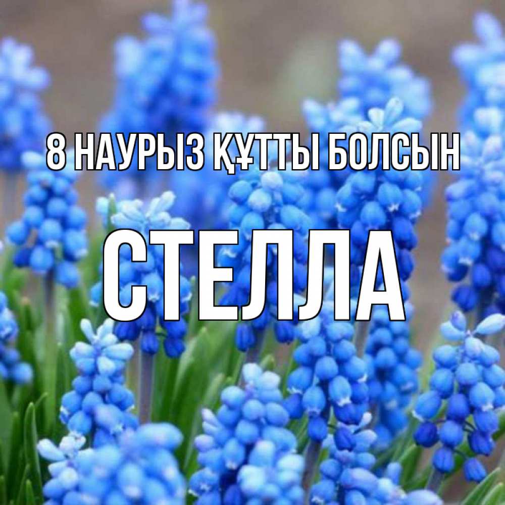 Күн сайын ашық хат с именем, Стелла 8 наурыз құтты болсын Поздравительная открытка для женщин с цветами на праздничную дату Онлайн тегін жүктеп алу тілектері бар керемет карта 