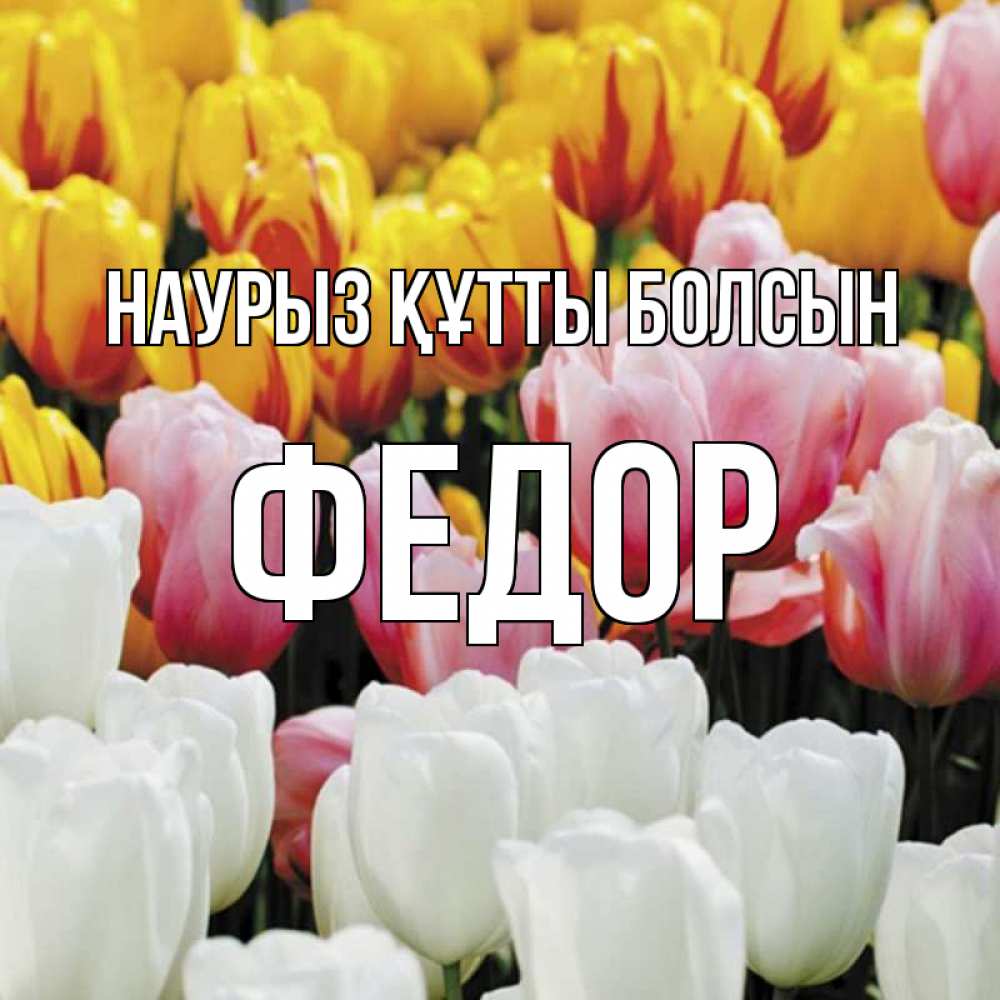 Күн сайын ашық хат с именем, Федор Наурыз құтты болсын разноцветные цветы Онлайн тегін жүктеп алу тілектері бар керемет карта 