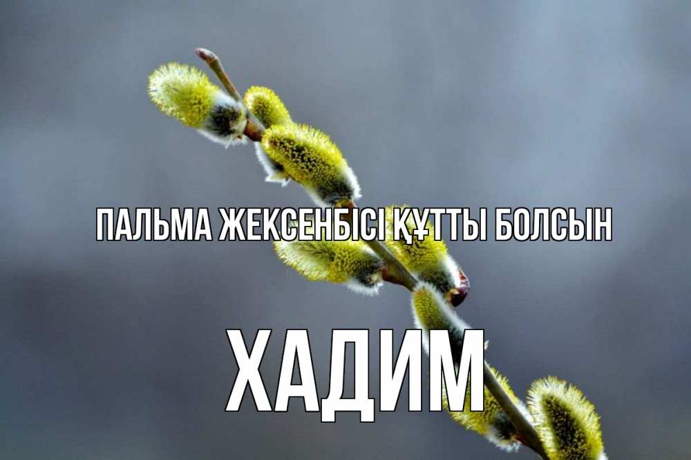 Күн сайын ашық хат с именем, ХАДИМ Пальма жексенбісі құтты болсын верба Онлайн тегін жүктеп алу тілектері бар керемет карта 