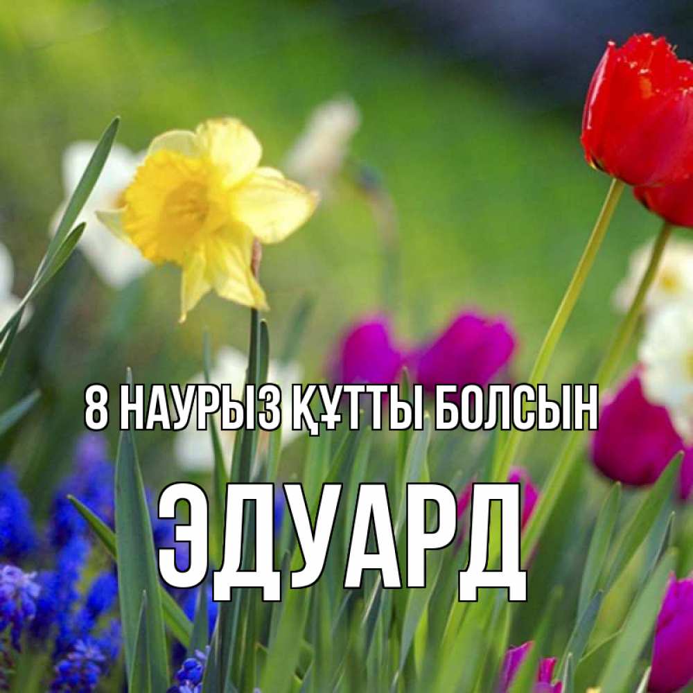 Күн сайын ашық хат с именем, Эдуард 8 наурыз құтты болсын международный женский день 3 Онлайн тегін жүктеп алу тілектері бар керемет карта 