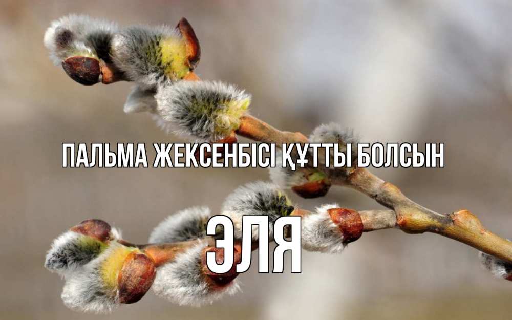 Күн сайын ашық хат с именем, Эля Пальма жексенбісі құтты болсын Верба Онлайн тегін жүктеп алу тілектері бар керемет карта 