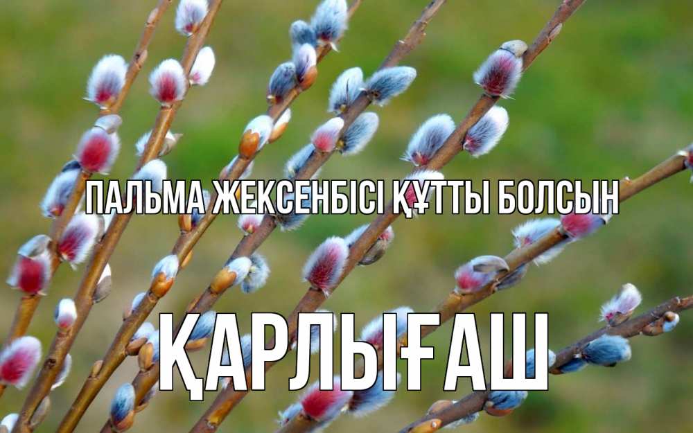 Күн сайын ашық хат с именем, ҚАРЛЫҒАШ Пальма жексенбісі құтты болсын верба Онлайн тегін жүктеп алу тілектері бар керемет карта 