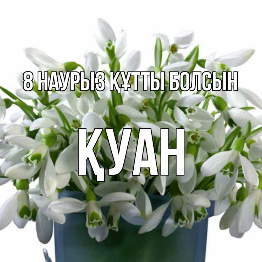 Күн сайын ашық хат с именем, ҚУАН 8 наурыз құтты болсын цветы к международному женскому дню Онлайн тегін жүктеп алу тілектері бар керемет карта 