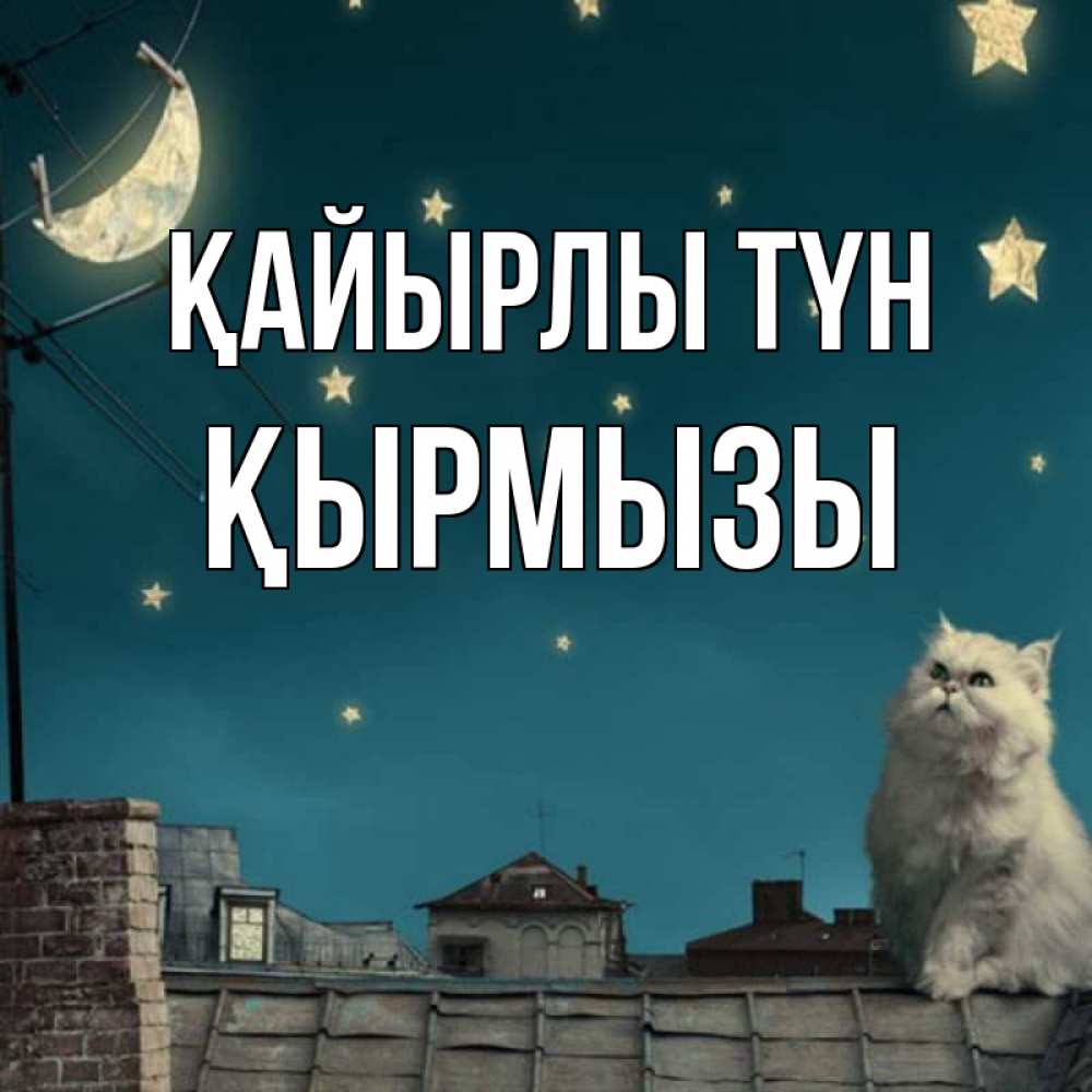 Күн сайын ашық хат с именем, ҚЫРМЫЗЫ Қайырлы түн белый кот сидит на крыше Онлайн тегін жүктеп алу тілектері бар керемет карта 