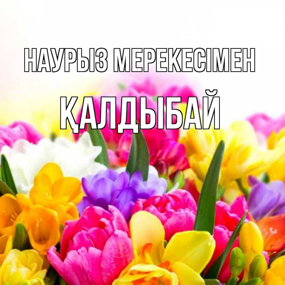 Күн сайын ашық хат с именем, Қалдыбай Наурыз мерекесімен тюльпаны Онлайн тегін жүктеп алу тілектері бар керемет карта 