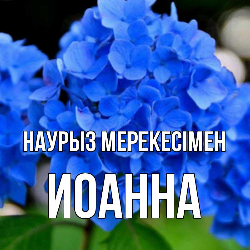 Күн сайын ашық хат с именем, Иоанна Наурыз мерекесімен синие цветы Онлайн тегін жүктеп алу тілектері бар керемет карта 