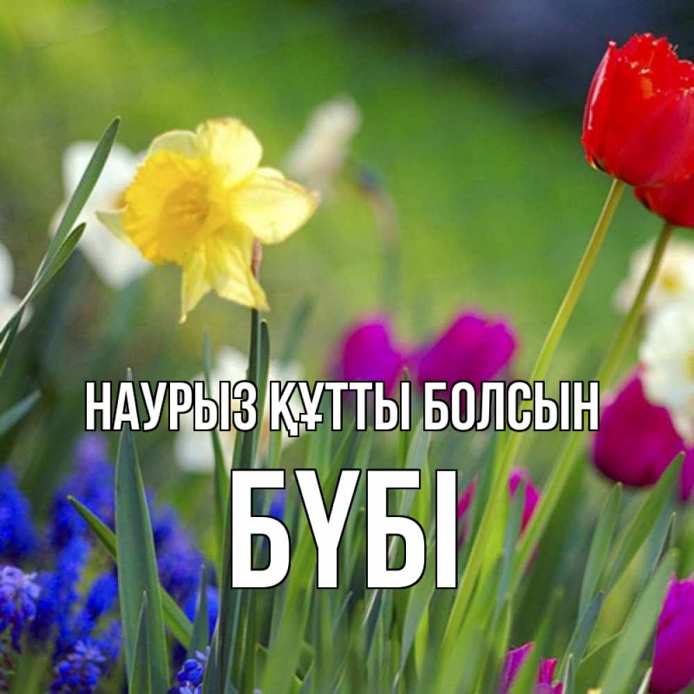 Күн сайын ашық хат с именем, БҮБІ Наурыз құтты болсын наурыз  3 открытки Онлайн тегін жүктеп алу тілектері бар керемет карта 