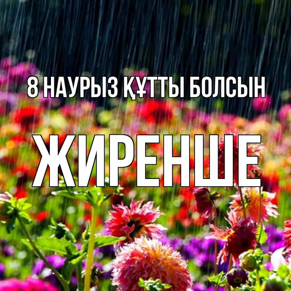 Күн сайын ашық хат с именем, Жиренше 8 наурыз құтты болсын цветы под дождиком к международному женскому дню Онлайн тегін жүктеп алу тілектері бар керемет карта 