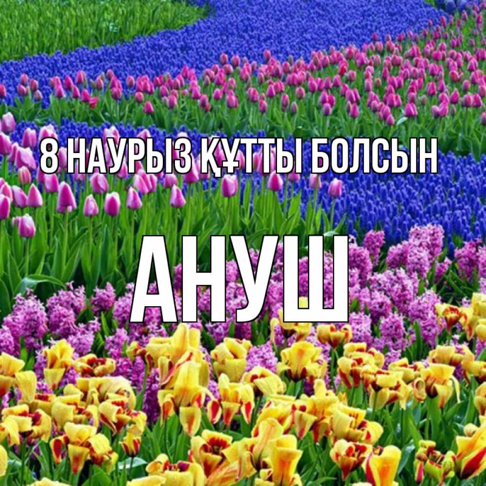Күн сайын ашық хат с именем, Ануш 8 наурыз құтты болсын цветы Онлайн тегін жүктеп алу тілектері бар керемет карта 