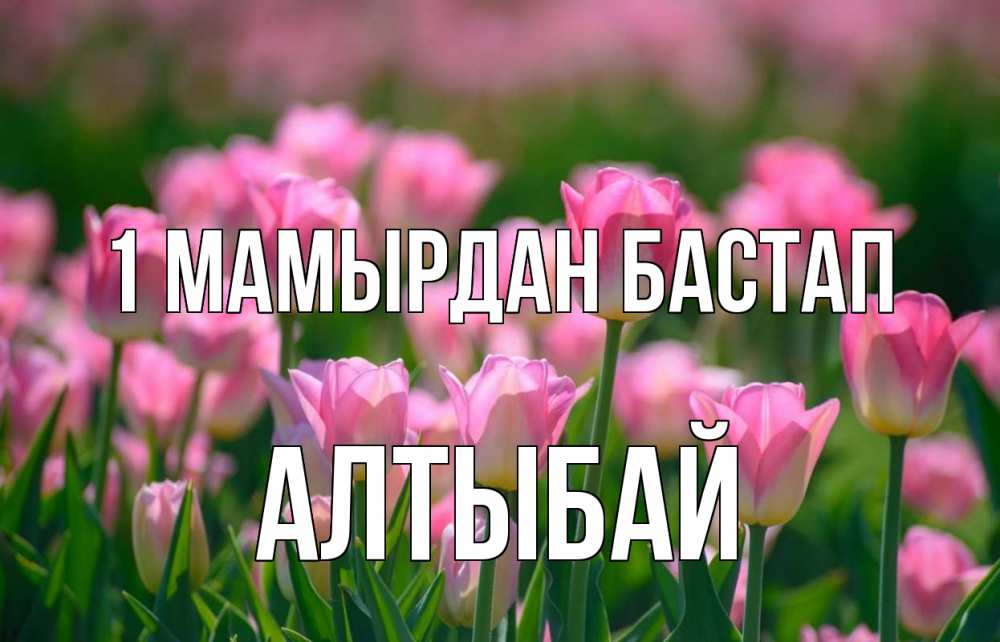 Күн сайын ашық хат с именем, Алтыбай 1 мамырдан бастап С 1 мая Онлайн тегін жүктеп алу тілектері бар керемет карта 