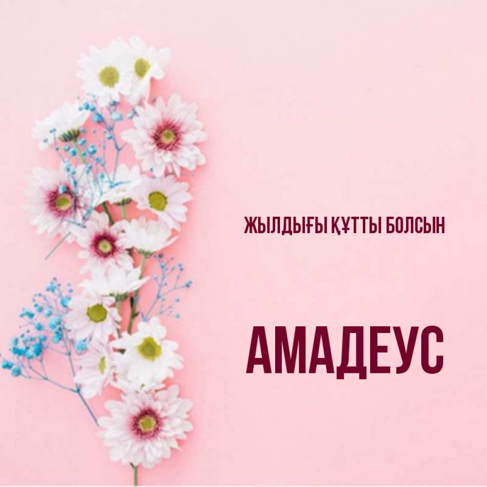 Күн сайын ашық хат с именем, Амадеус Жылдығы құтты болсын Родная моя с днем рождения тебя картинка с цветами белыми и голубыми Онлайн тегін жүктеп алу тілектері бар керемет карта 