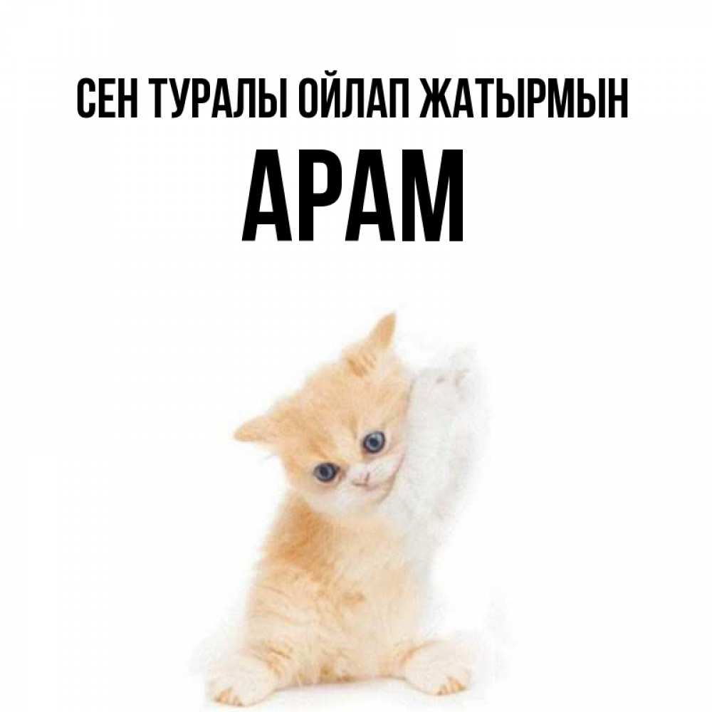 Күн сайын ашық хат с именем, Арам Сен туралы ойлап жатырмын зверушки и милота Онлайн тегін жүктеп алу тілектері бар керемет карта 