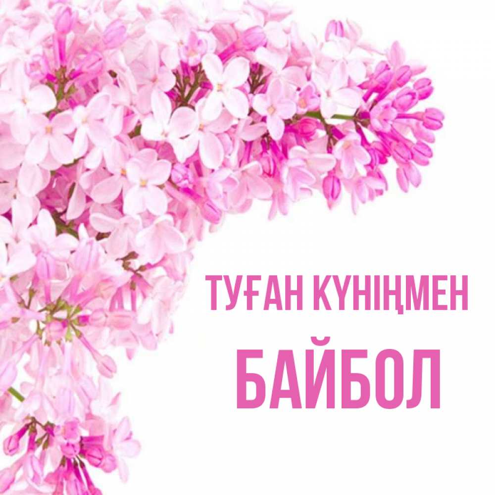 Күн сайын ашық хат с именем, Байбол Туған күніңмен Сирень на белом фоне Онлайн тегін жүктеп алу тілектері бар керемет карта 