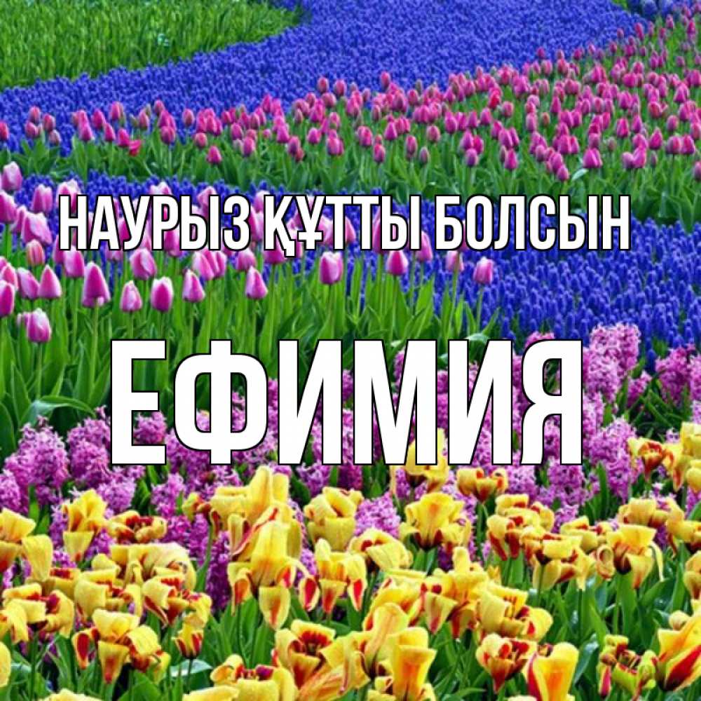 Күн сайын ашық хат с именем, Ефимия Наурыз құтты болсын цветы Онлайн тегін жүктеп алу тілектері бар керемет карта 