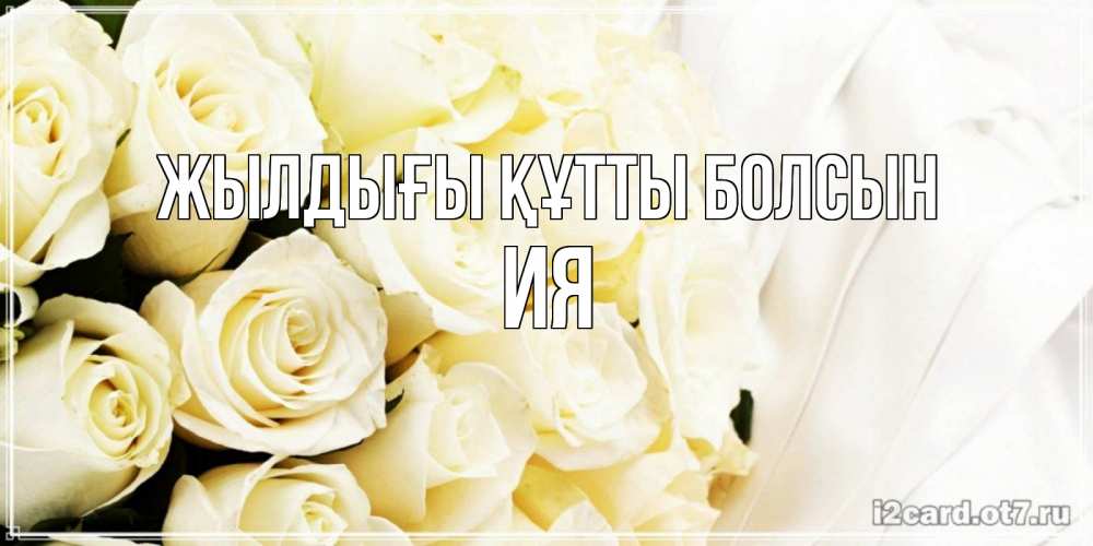 Күн сайын ашық хат с именем, Ия Жылдығы құтты болсын белые розы в букете Онлайн тегін жүктеп алу тілектері бар керемет карта 