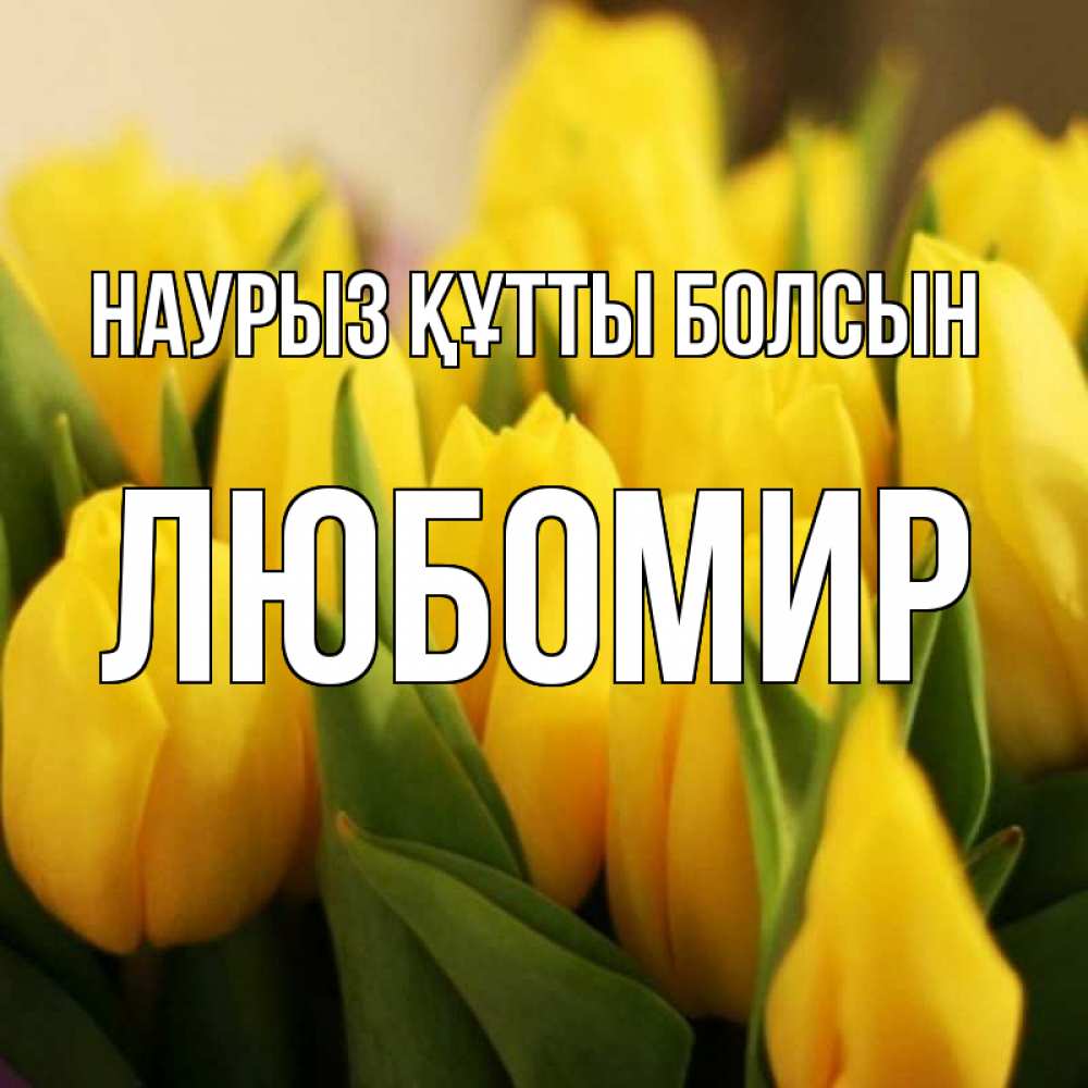 Күн сайын ашық хат с именем, Любомир Наурыз құтты болсын цветы Онлайн тегін жүктеп алу тілектері бар керемет карта 