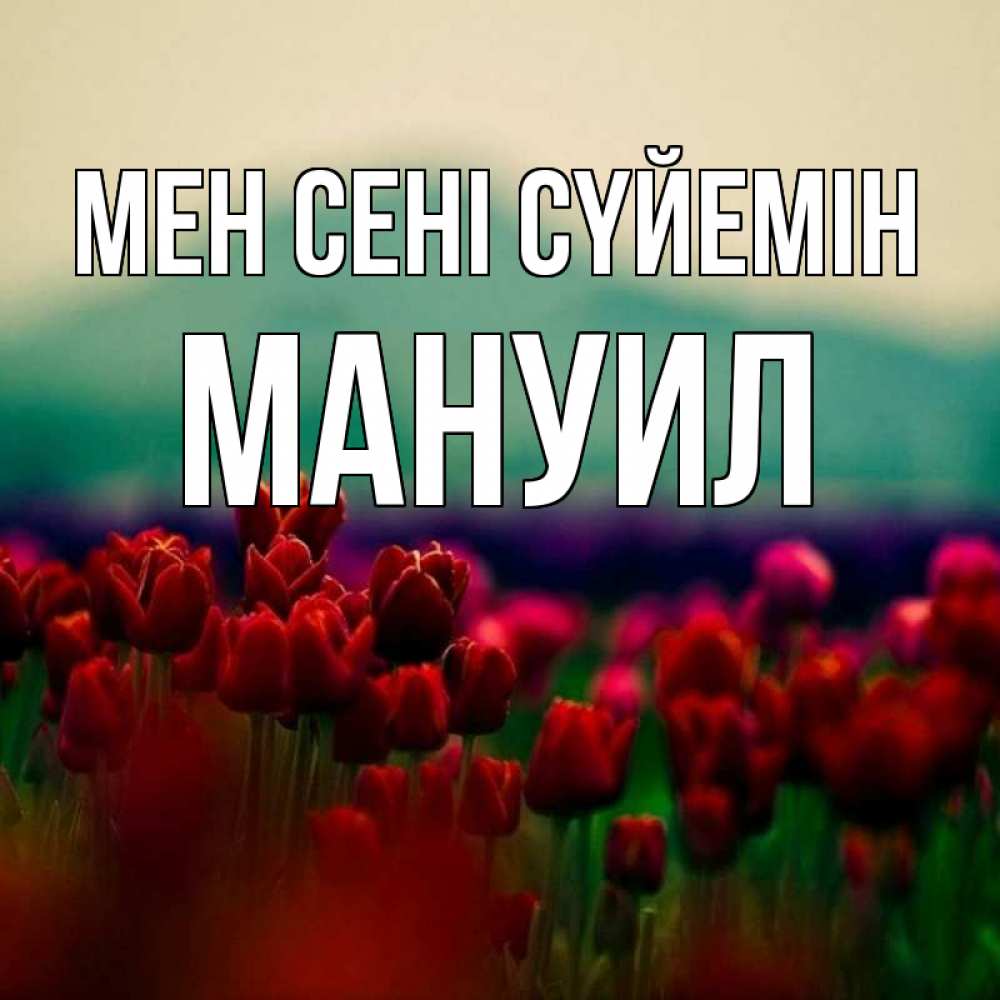 Күн сайын ашық хат с именем, Мануил Мен сені сүйемін тюльпаны 4 Онлайн тегін жүктеп алу тілектері бар керемет карта 