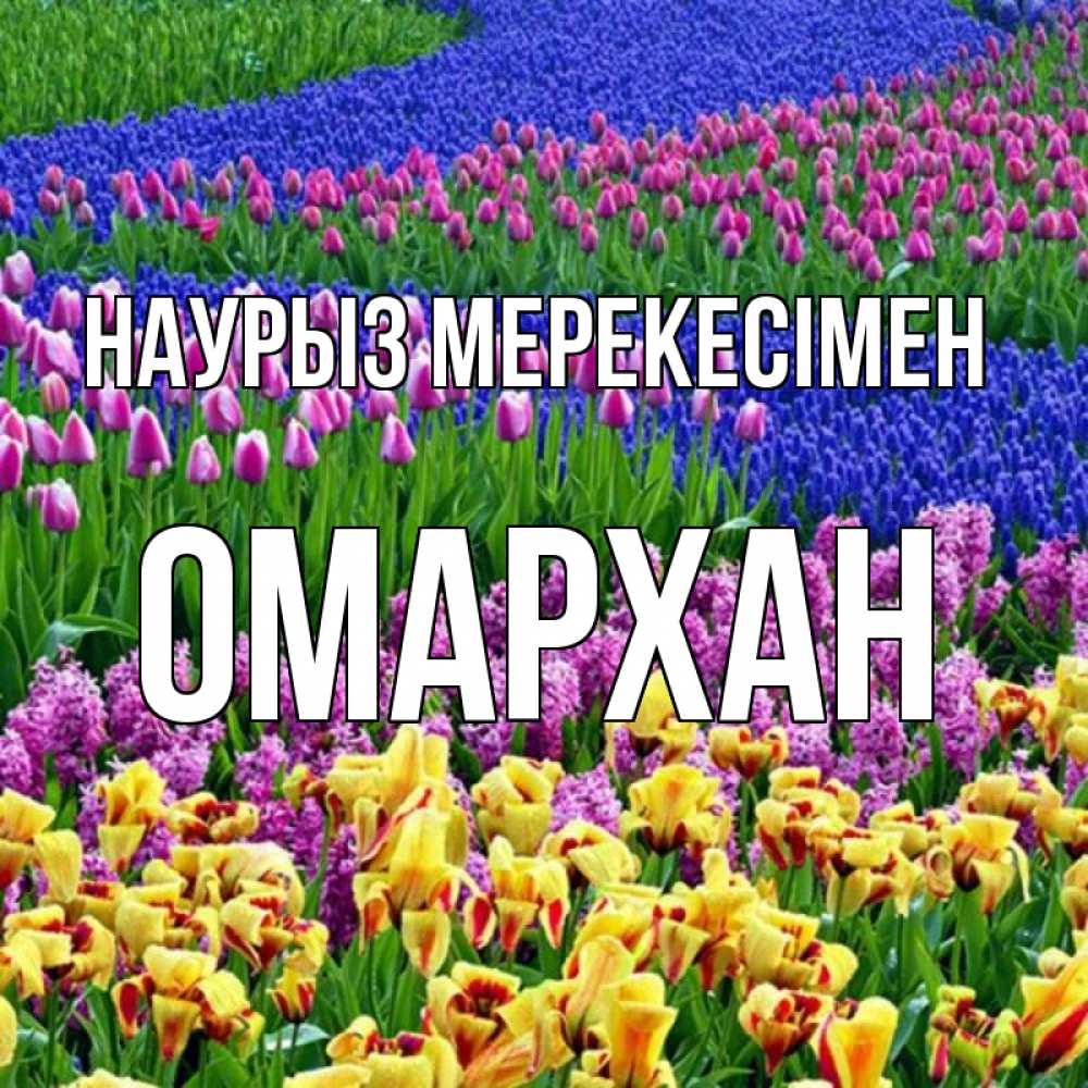 Күн сайын ашық хат с именем, ОМАРХАН Наурыз мерекесімен цветы Онлайн тегін жүктеп алу тілектері бар керемет карта 
