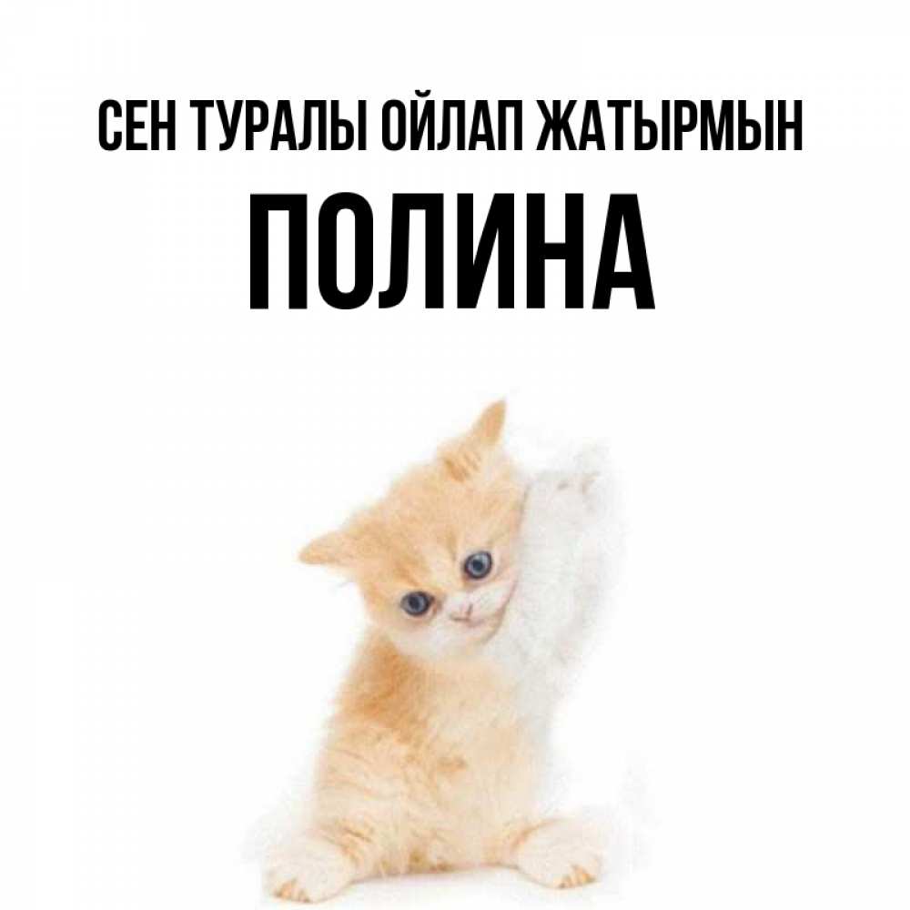 Күн сайын ашық хат с именем, Полина Сен туралы ойлап жатырмын зверушки и милота Онлайн тегін жүктеп алу тілектері бар керемет карта 