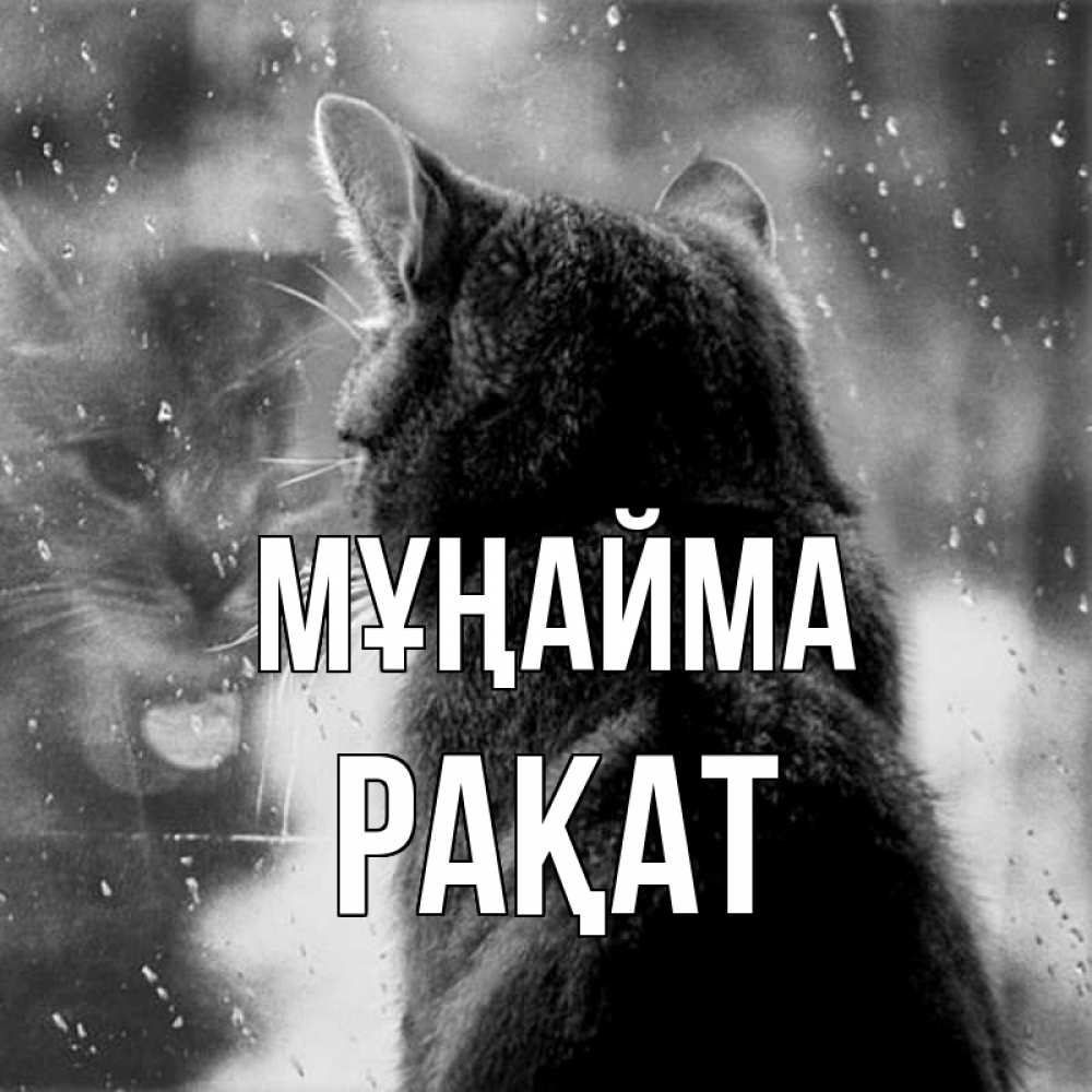 Күн сайын ашық хат с именем, РАҚАТ Мұңайма отражение кота 1 Онлайн тегін жүктеп алу тілектері бар керемет карта 