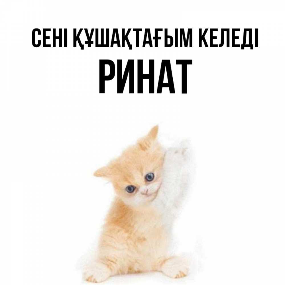 Күн сайын ашық хат с именем, Ринат сені құшақтағым келеді я хочу очень скорее обнимаешек Онлайн тегін жүктеп алу тілектері бар керемет карта 