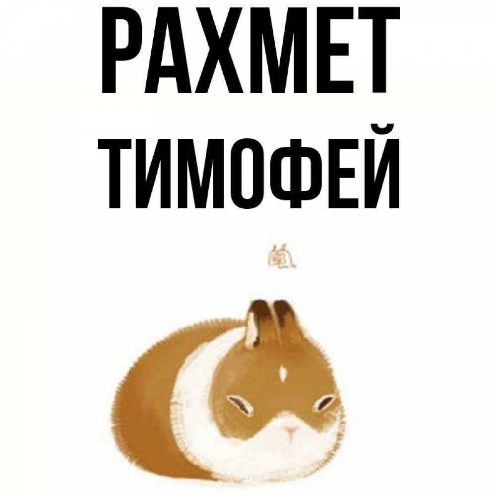 Күн сайын ашық хат с именем, Тимофей рахмет коричнево белый домашний питомец Онлайн тегін жүктеп алу тілектері бар керемет карта 