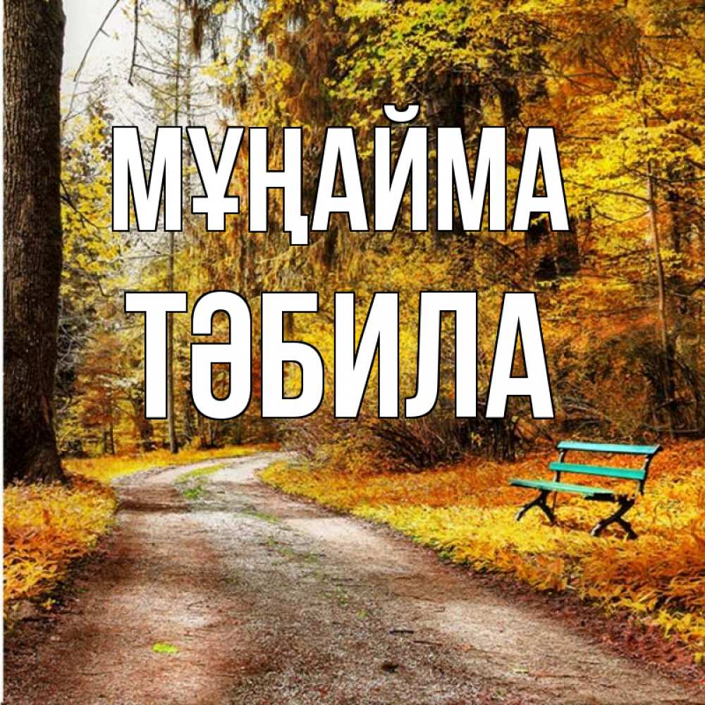 Күн сайын ашық хат с именем, ТӘБИЛА Мұңайма зеленая лавочка Онлайн тегін жүктеп алу тілектері бар керемет карта 