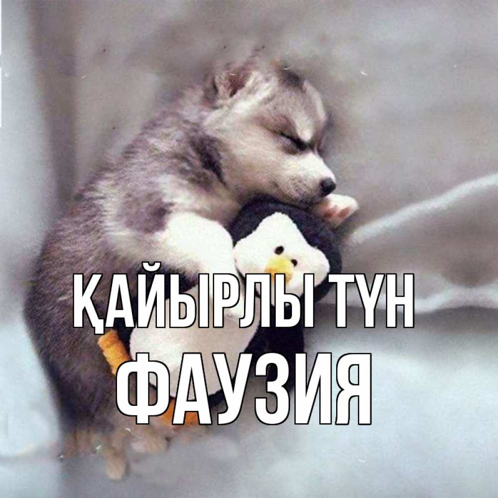 Күн сайын ашық хат с именем, ФАУЗИЯ Қайырлы түн обнимашки щенка и пингвина Онлайн тегін жүктеп алу тілектері бар керемет карта 