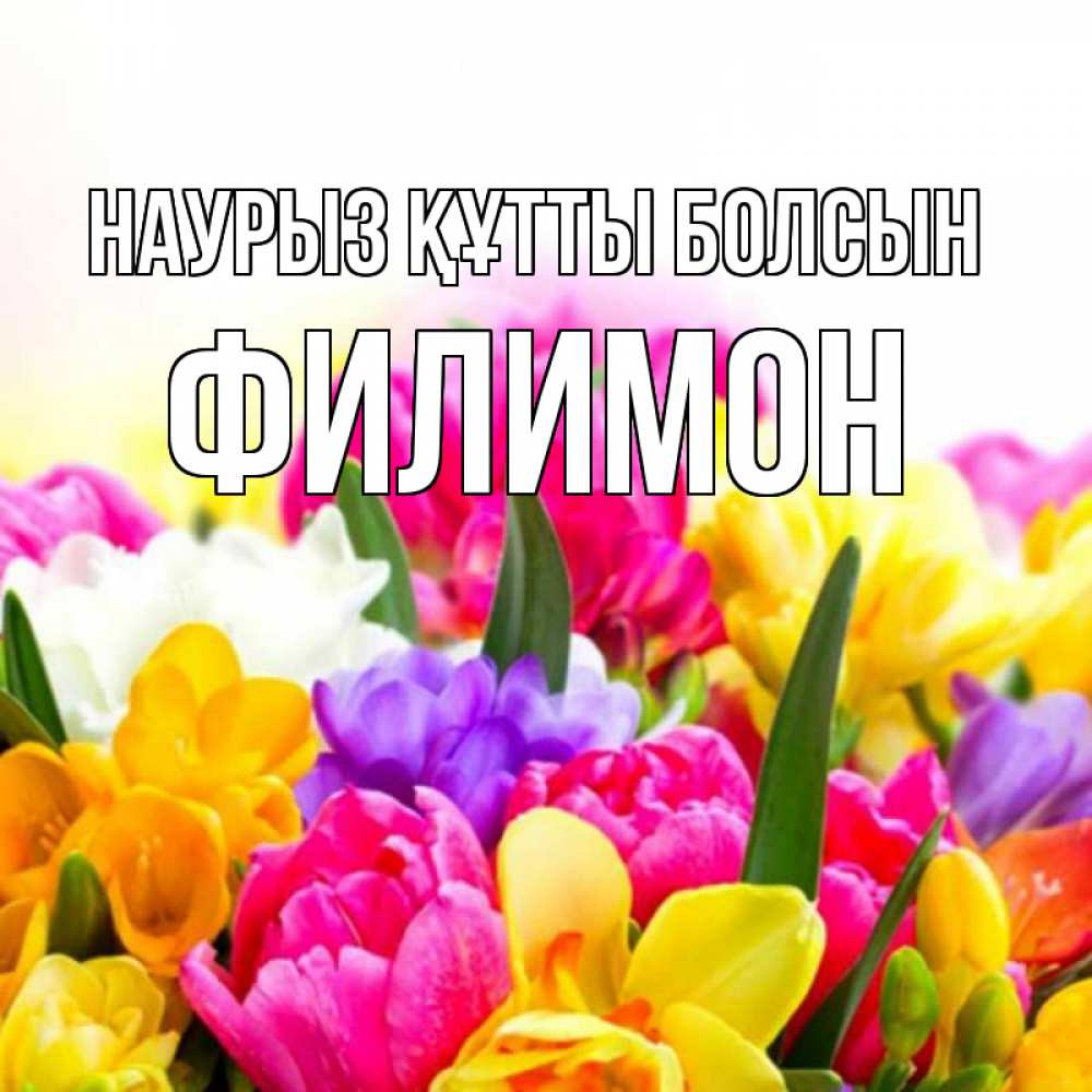 Күн сайын ашық хат с именем, Филимон Наурыз құтты болсын тюльпаны Онлайн тегін жүктеп алу тілектері бар керемет карта 
