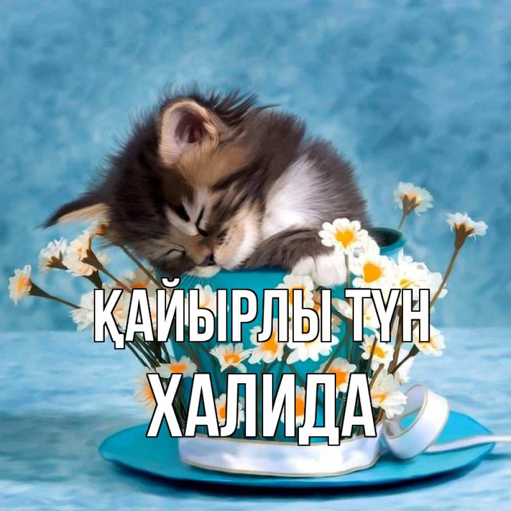 Күн сайын ашық хат с именем, ХАЛИДА Қайырлы түн котенок спит в кружке с блюдцем Онлайн тегін жүктеп алу тілектері бар керемет карта 