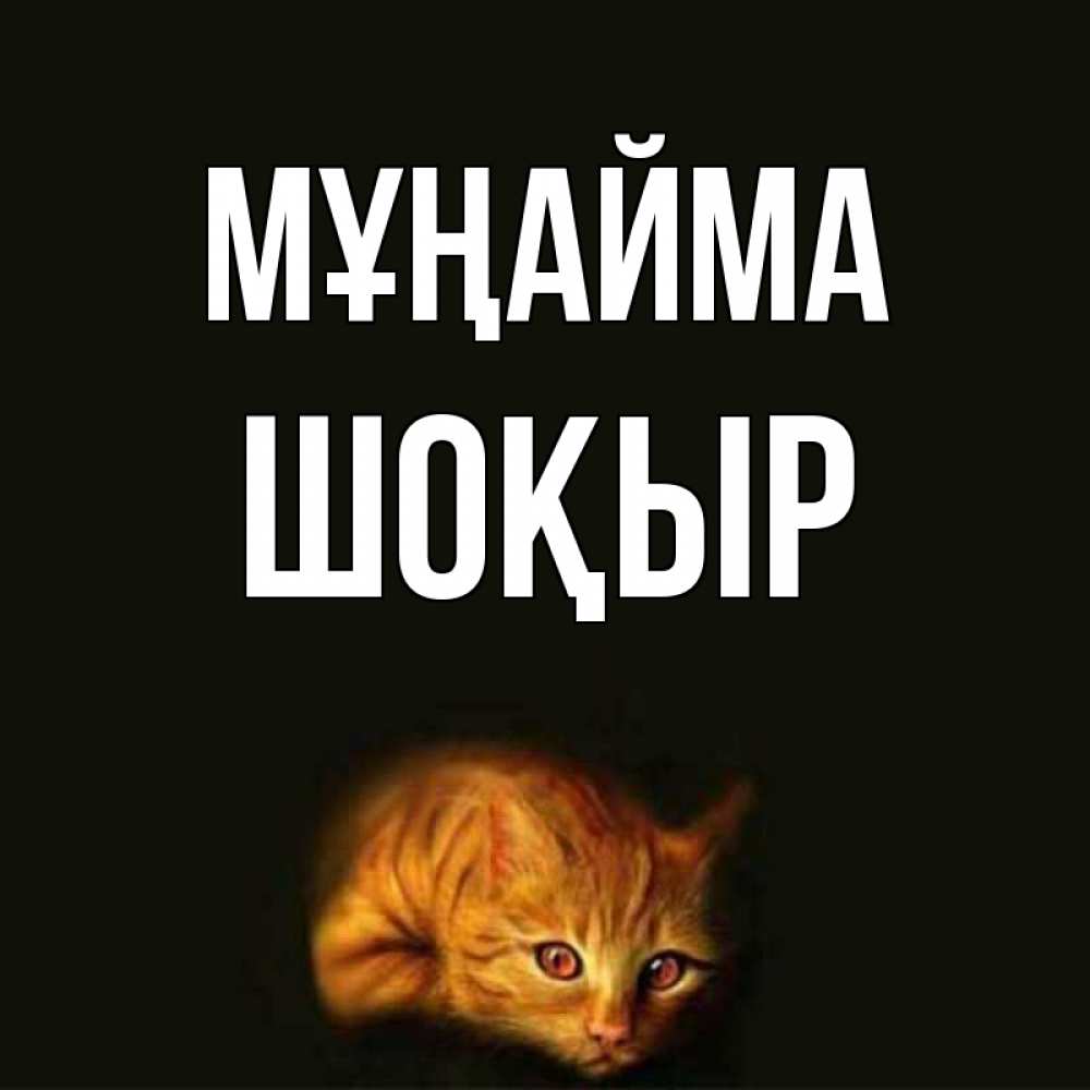 Күн сайын ашық хат с именем, ШОҚЫР Мұңайма лежащий кот в темноте Онлайн тегін жүктеп алу тілектері бар керемет карта 