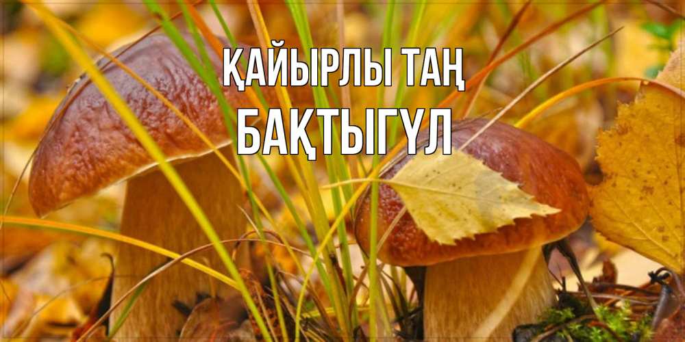 Күн сайын ашық хат с именем, БАҚТЫГҮЛ Қайырлы таң осенние грибы Онлайн тегін жүктеп алу тілектері бар керемет карта 