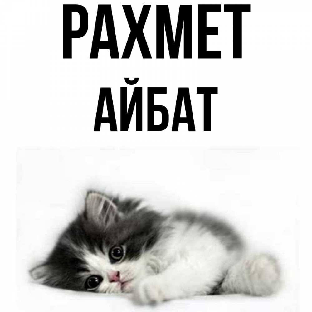 Күн сайын ашық хат с именем, Айбат рахмет черный и белый кот Онлайн тегін жүктеп алу тілектері бар керемет карта 