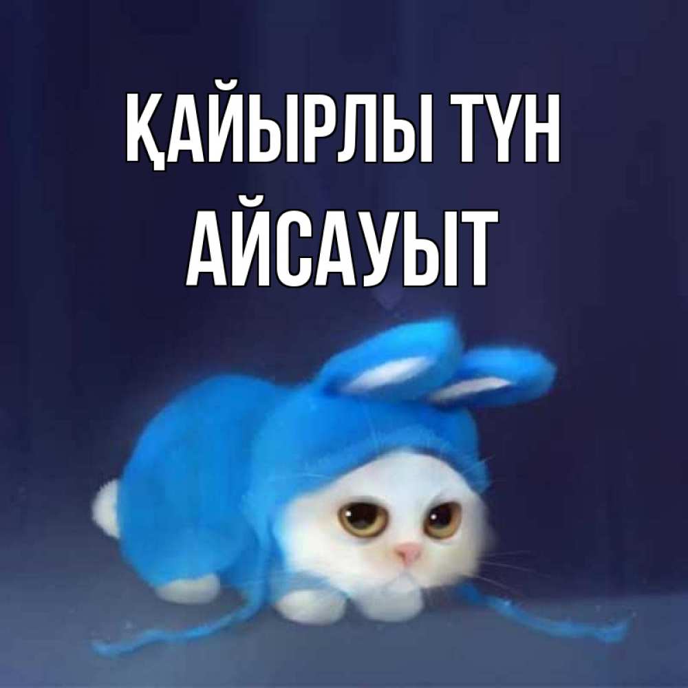 Күн сайын ашық хат с именем, Айсауыт Қайырлы түн кот в голубом костюме кролика с ушками Онлайн тегін жүктеп алу тілектері бар керемет карта 