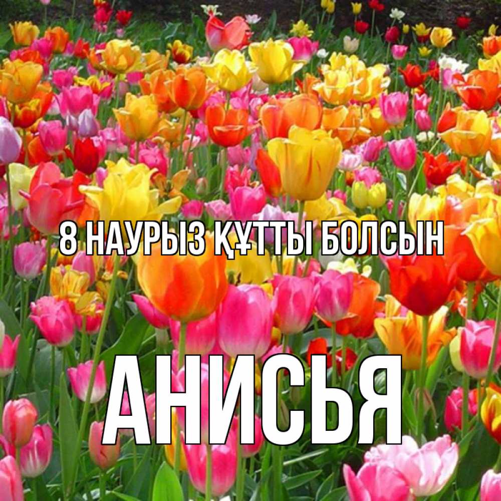 Күн сайын ашық хат с именем, Анисья 8 наурыз құтты болсын на международный женский день Онлайн тегін жүктеп алу тілектері бар керемет карта 