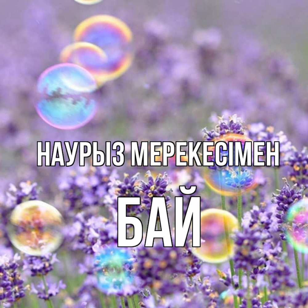 Күн сайын ашық хат с именем, Бай Наурыз мерекесімен цветы Онлайн тегін жүктеп алу тілектері бар керемет карта 