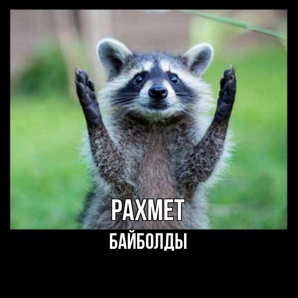 Күн сайын ашық хат с именем, Байболды рахмет милые животные Онлайн тегін жүктеп алу тілектері бар керемет карта 