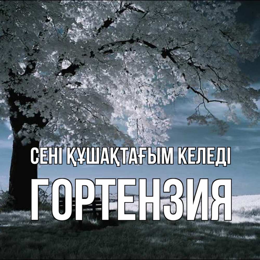 Күн сайын ашық хат с именем, Гортензия сені құшақтағым келеді дерево Онлайн тегін жүктеп алу тілектері бар керемет карта 
