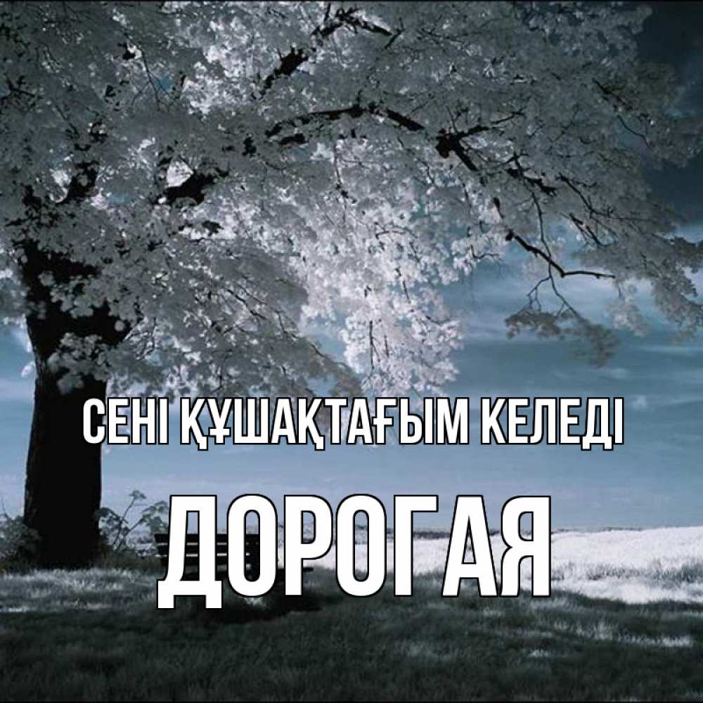 Күн сайын ашық хат с именем, Дорогая сені құшақтағым келеді дерево Онлайн тегін жүктеп алу тілектері бар керемет карта 