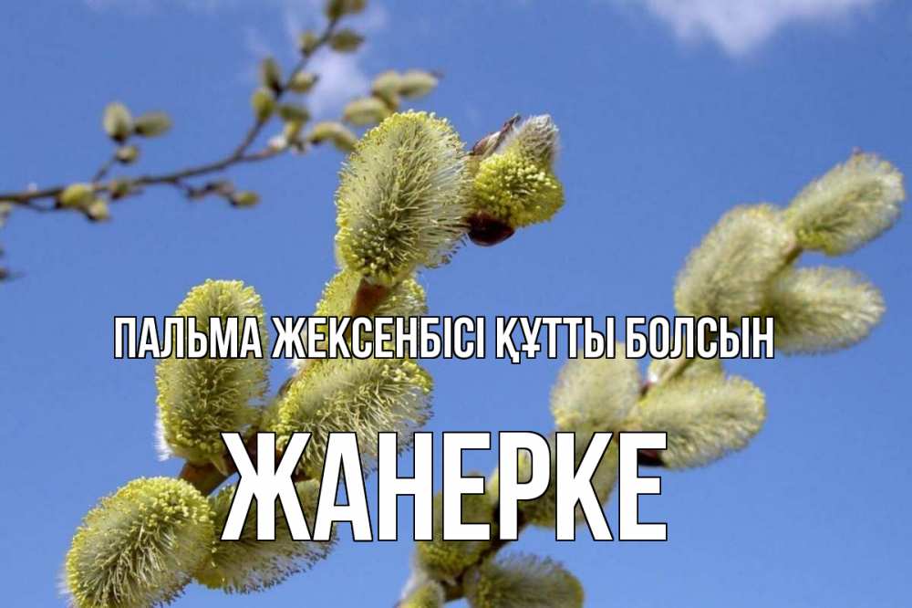 Күн сайын ашық хат с именем, ЖАНЕРКЕ Пальма жексенбісі құтты болсын верба Онлайн тегін жүктеп алу тілектері бар керемет карта 