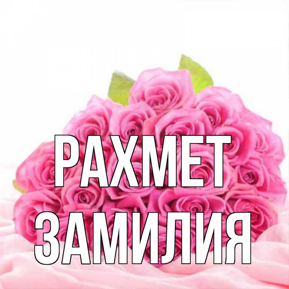 Күн сайын ашық хат с именем, ЗАМИЛИЯ рахмет розовые розы с подписью Онлайн тегін жүктеп алу тілектері бар керемет карта 