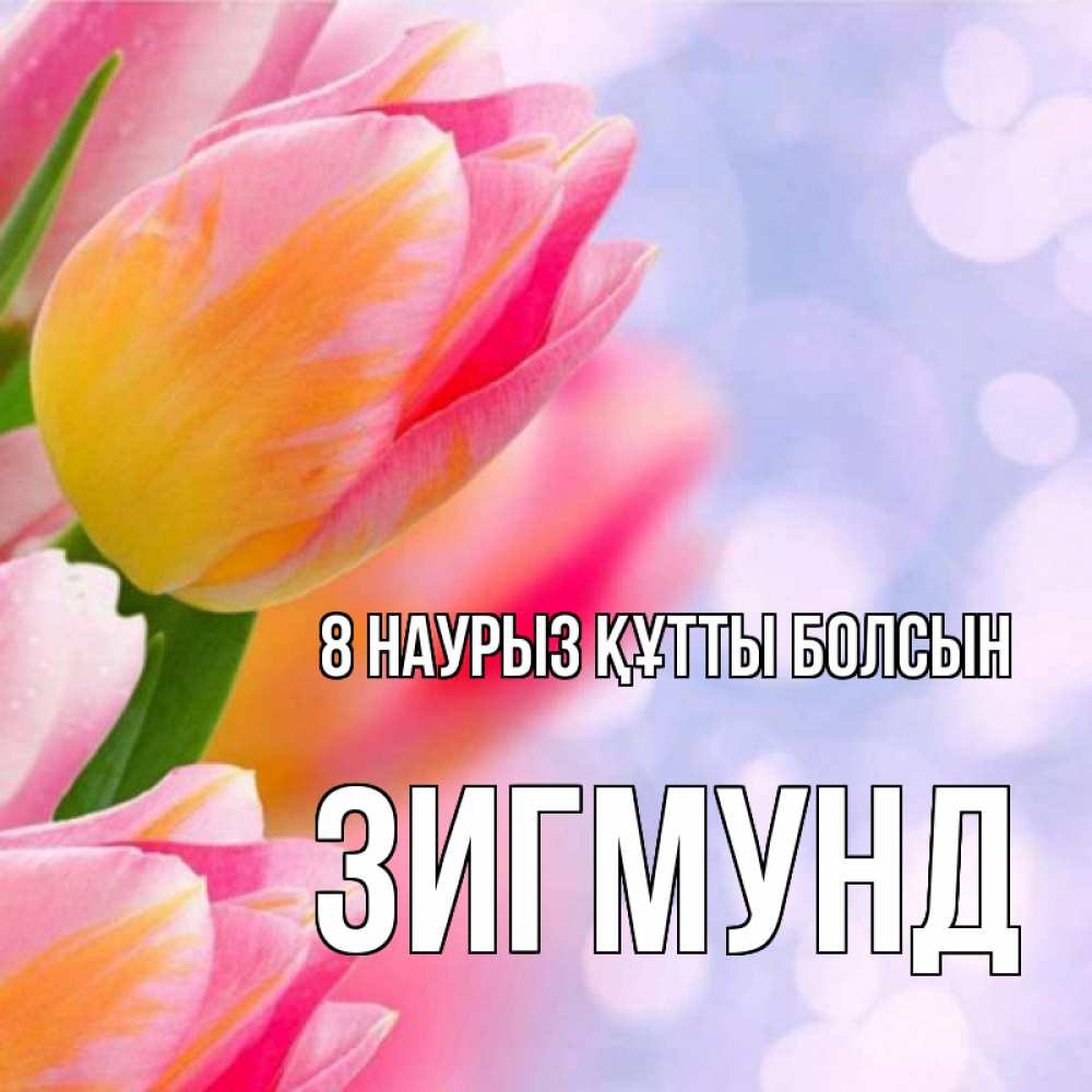 Күн сайын ашық хат с именем, Зигмунд 8 наурыз құтты болсын тюльпаны 2 Онлайн тегін жүктеп алу тілектері бар керемет карта 