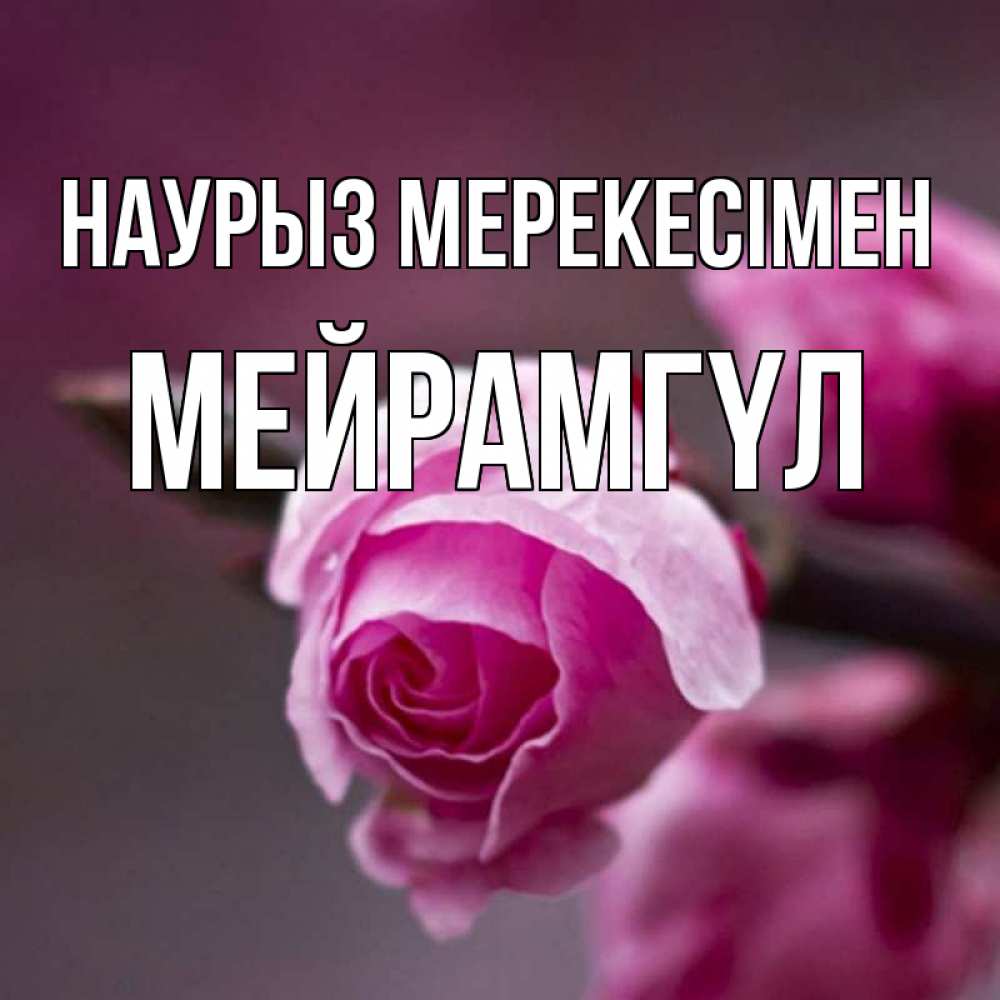 Күн сайын ашық хат с именем, МЕЙРАМГҮЛ Наурыз мерекесімен весна Онлайн тегін жүктеп алу тілектері бар керемет карта 
