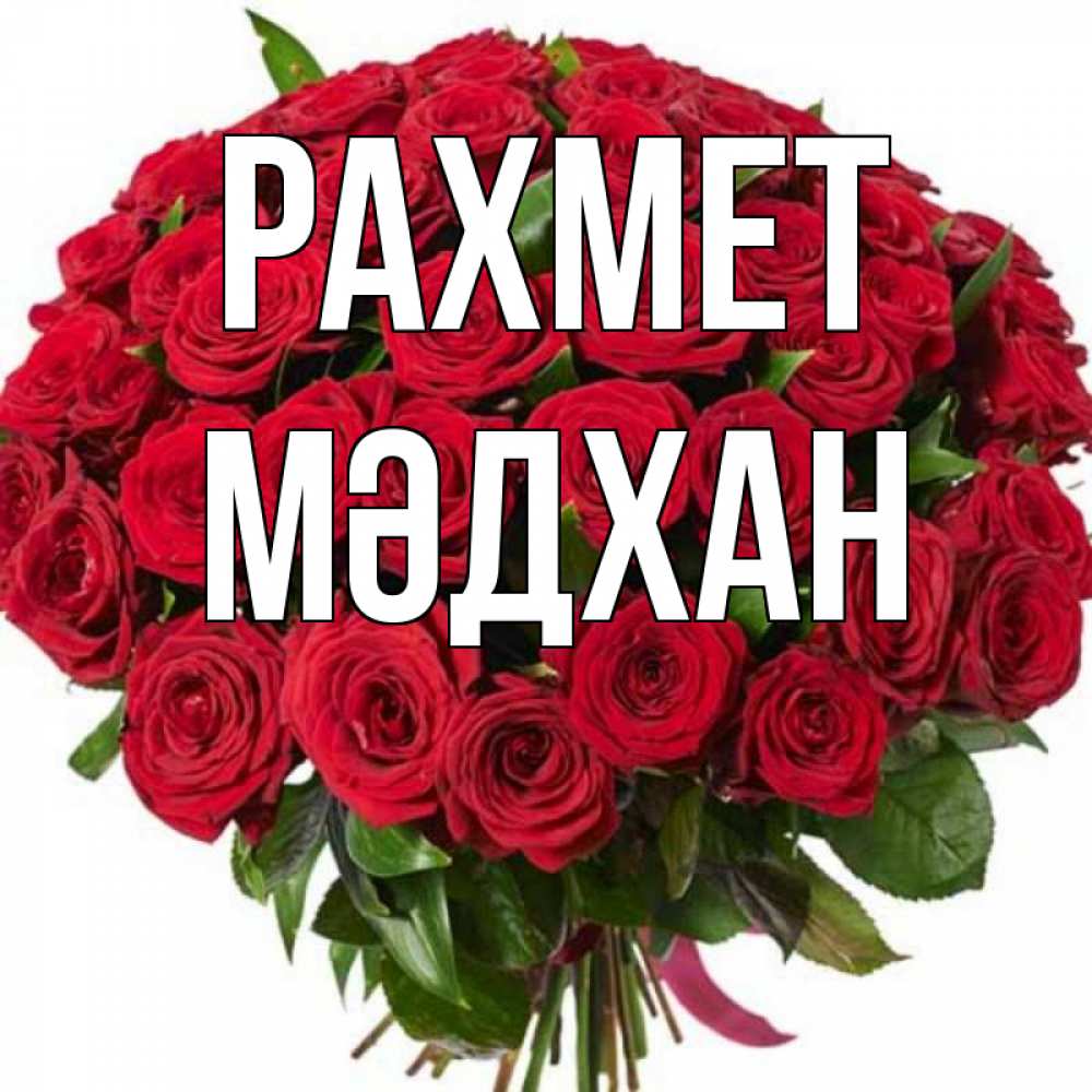 Күн сайын ашық хат с именем, МӘДХАН рахмет букет красных роз Онлайн тегін жүктеп алу тілектері бар керемет карта 