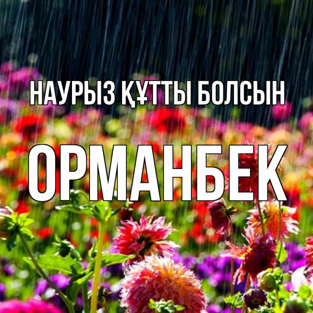Күн сайын ашық хат с именем, ОРМАНБЕК Наурыз құтты болсын цветы под дождиком к наурызу Онлайн тегін жүктеп алу тілектері бар керемет карта 