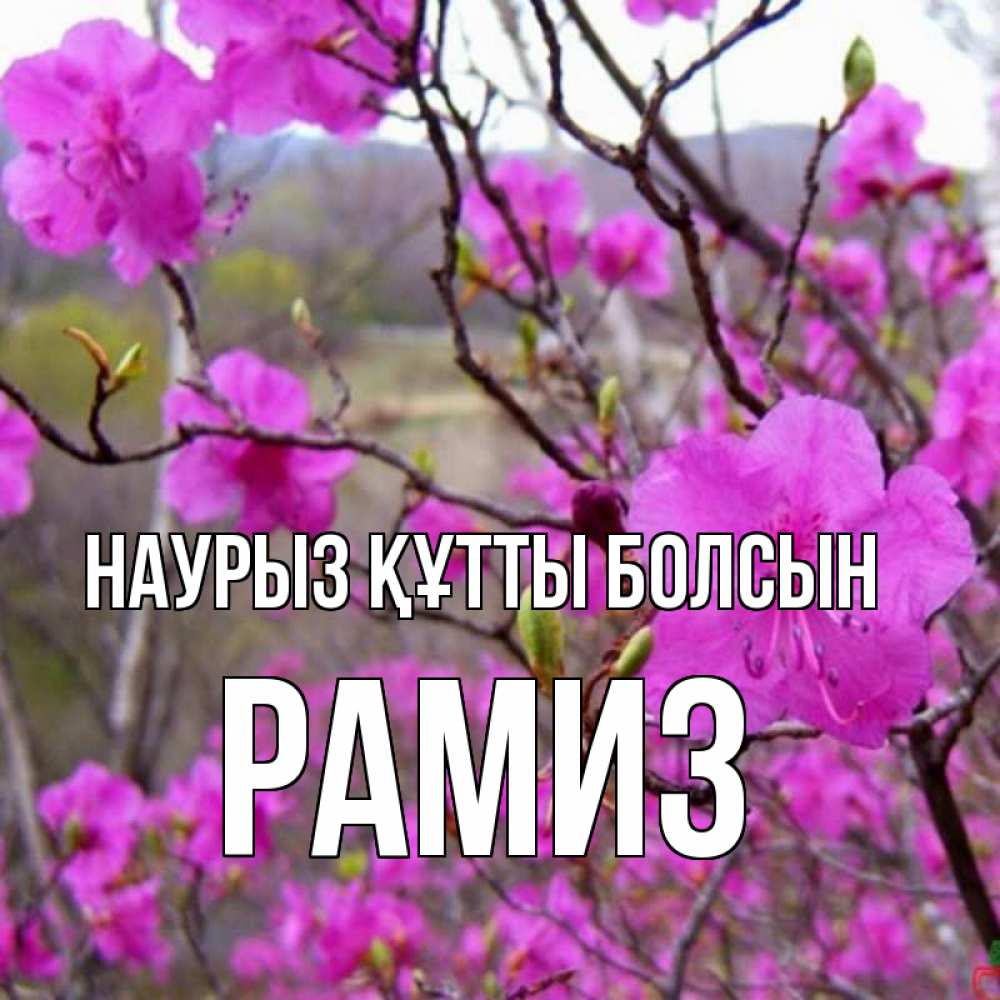 Күн сайын ашық хат с именем, РАМИЗ Наурыз құтты болсын наурыз мейрамы кутты болсын Онлайн тегін жүктеп алу тілектері бар керемет карта 