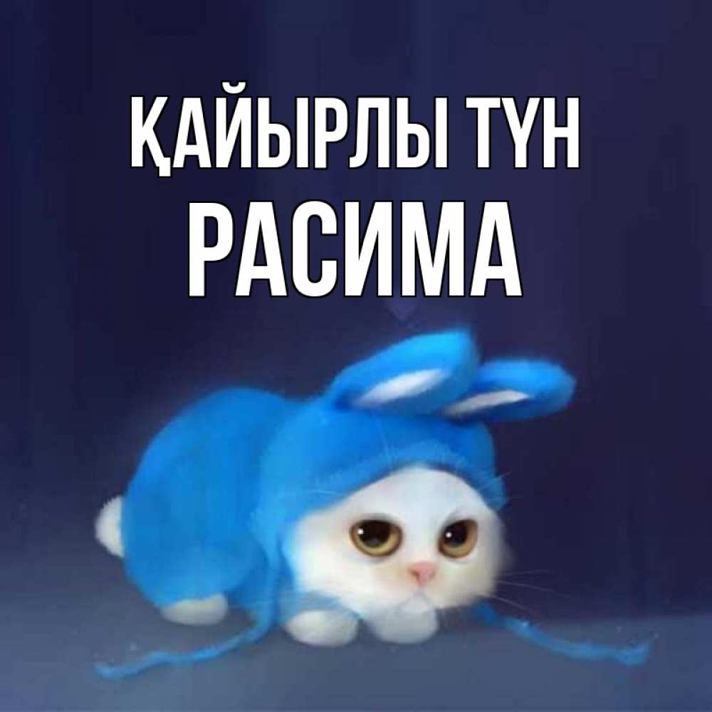 Күн сайын ашық хат с именем, РАСИМА Қайырлы түн кот в голубом костюме кролика с ушками Онлайн тегін жүктеп алу тілектері бар керемет карта 