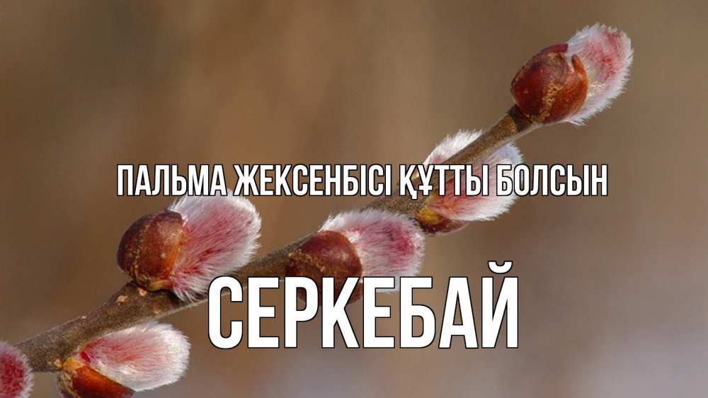 Күн сайын ашық хат с именем, СЕРКЕБАЙ Пальма жексенбісі құтты болсын верба Онлайн тегін жүктеп алу тілектері бар керемет карта 