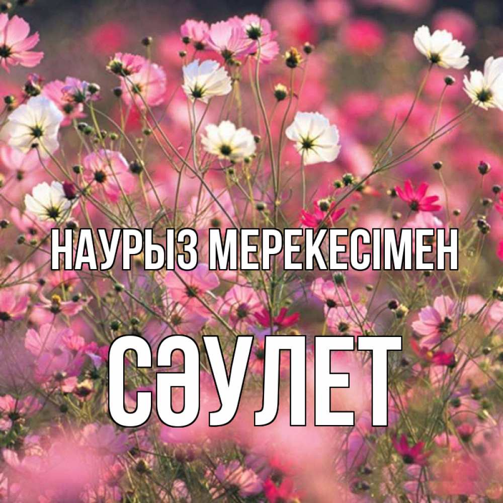 Күн сайын ашық хат с именем, СӘУЛЕТ Наурыз мерекесімен красиво 1 Онлайн тегін жүктеп алу тілектері бар керемет карта 