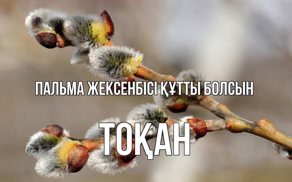 Күн сайын ашық хат с именем, ТОҚАН Пальма жексенбісі құтты болсын Верба Онлайн тегін жүктеп алу тілектері бар керемет карта 